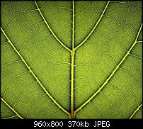 Android Wallpaper Sammlung-wallpaper69.jpg