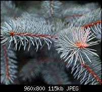 Android Wallpaper Sammlung-wallpaper89.jpg