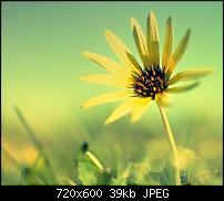 Android Wallpaper Sammlung-wallpaper107.jpg