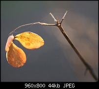 Android Wallpaper Sammlung-wallpaper74.jpg