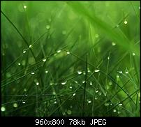 Android Wallpaper Sammlung-wallpaper83.jpg