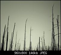 Android Wallpaper Sammlung-wallpaper65.jpg