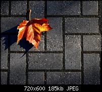 Android Wallpaper Sammlung-wallpaper88.jpg