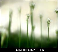 Android Wallpaper Sammlung-wallpaper64.jpg