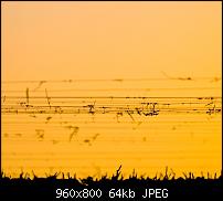 Android Wallpaper Sammlung-wallpaper22.jpg