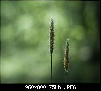 Android Wallpaper Sammlung-wallpaper63.jpg