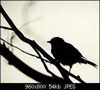 Android Wallpaper Sammlung-wallpaper102.jpg