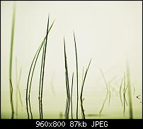 Android Wallpaper Sammlung-wallpaper77.jpg