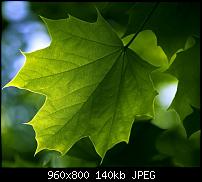 Android Wallpaper Sammlung-wallpaper62.jpg