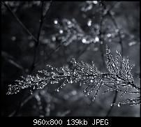 Android Wallpaper Sammlung-wallpaper41.jpg