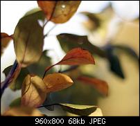 Android Wallpaper Sammlung-wallpaper73.jpg