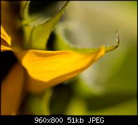 Android Wallpaper Sammlung-wallpaper61.jpg