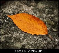 Android Wallpaper Sammlung-wallpaper87.jpg