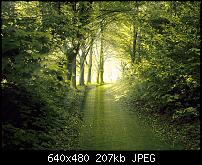 Android Wallpaper Sammlung-backgrounds_9115.jpg