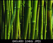 Android Wallpaper Sammlung-backgrounds_5128.jpg