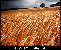 Android Wallpaper Sammlung-backgrounds_18079.png