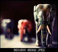 Android Wallpaper Sammlung-bokehn_elephant.jpg