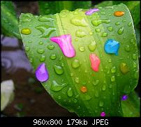 Android Wallpaper Sammlung-colorful_rain.jpg