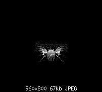 Android Wallpaper Sammlung-android-water_55.jpg