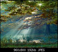 Android Wallpaper Sammlung-beauty-morning_71.jpg