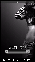 Zeigt euren Homescreen-2011-12-31_14-21-40.png
