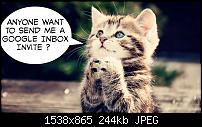 Inbox by Gmail: Einladungen gesucht! Invite Kette im Gange-26.10.14-1.jpg