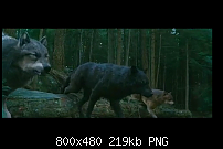 CineTrailer.tv jetzt auch für Android-ct05.png