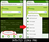 Neuer Browser - Dolphin Mini (kostenlose Testphase)-page-management.png