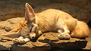 Erste Fennec-Testversion für Android (Mozilla Firefox Mobile)-fennec2.jpg