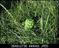 Android mini collectibles [UPDATE: meistens ausverkauft!]-jr011312.jpg