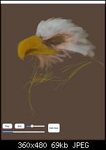 Ticker für reduzierte iOS Apps-mybrushforipadpaintdrawscribblesketchdoodlewith100brushes_3.jpg