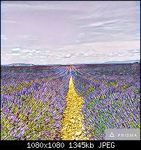 Prisma - Foto App-imageuploadedbypocketpc.ch1468651239.244864.jpg