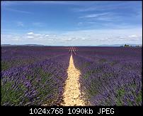 Prisma - Foto App-imageuploadedbypocketpc.ch1468651323.553470.jpg