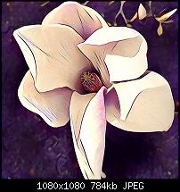 Prisma - Foto App-imageuploadedbypocketpc.ch1468993890.583289.jpg