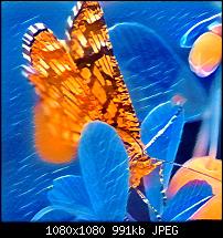 Prisma - Foto App-imageuploadedbypocketpc.ch1471177733.104156.jpg