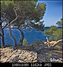 Prisma - Foto App-imageuploadedbypocketpc.ch1471615082.477168.jpg