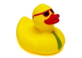 Wer würde sich ein iPad Mini kaufen?-11645653-gelbe-gummi-ente-brille-weissem-hintergrund.jpg