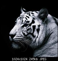 Der iPad Mini Wallpaper Thread-ipad-ipad2-wallpaper-2006.jpg