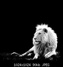 Der iPad Mini Wallpaper Thread-ipad-ipad2-wallpaper-2024.jpg