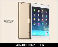 Kommt das iPad Mini 2 auch in Champagner-Gold?-ipadminis-640x480.jpg
