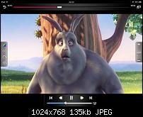 Filme anschauen auf dem ipad 2-img_0229.jpg