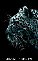 iPhone 4 Wallpaper-img_0341.png