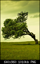 iPhone 4 Wallpaper-img_0020.png