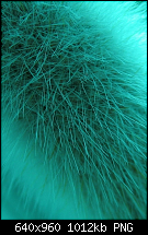 iPhone 4 Wallpaper-img_0058.png