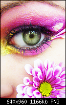 iPhone 4 Wallpaper-img_3153.png