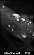 iPhone 4 Wallpaper-img_0164.jpg