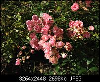 iPhone 4S - Eure Ersteindrücke und Reviews-img_1102.jpg