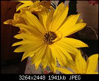 iPhone 4S - Eure Ersteindrücke und Reviews-img_1098.jpg