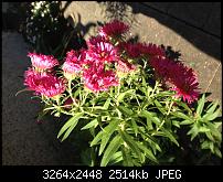 iPhone 4S - Eure Ersteindrücke und Reviews-img_1101.jpg