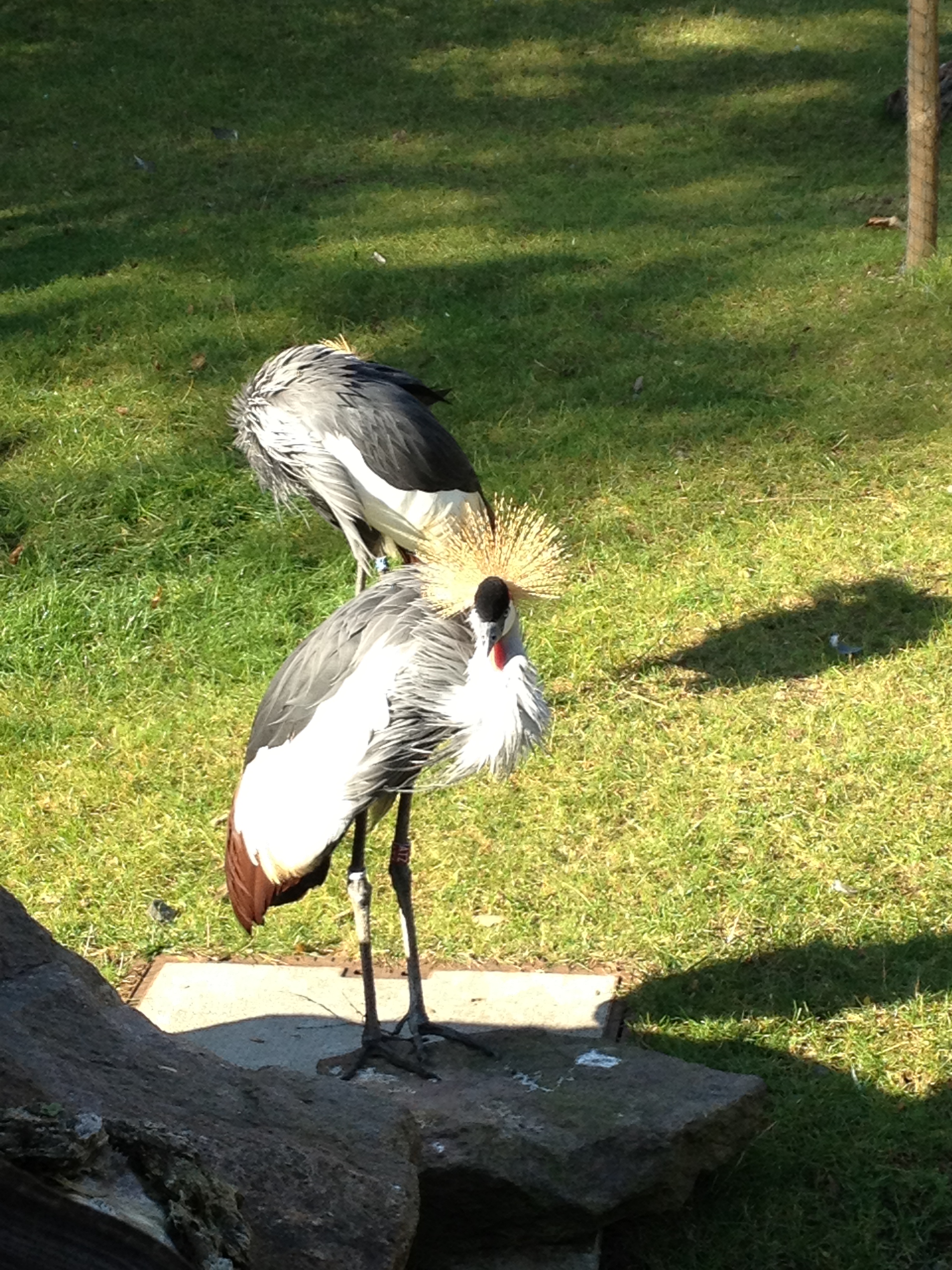 Iphone 4s Akkulaufzeiten-img_0200.jpg